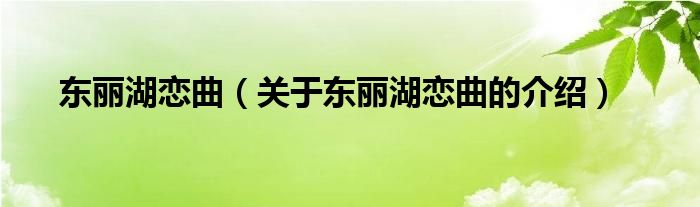 东丽湖恋曲（关于东丽湖恋曲的介绍）