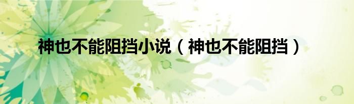 神也不能阻挡小说（神也不能阻挡）