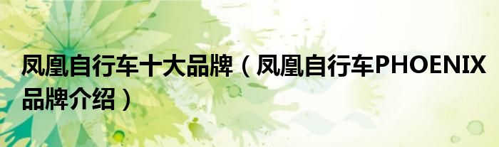 凤凰自行车十大品牌(凤凰自行车PHOENIX品牌介绍)