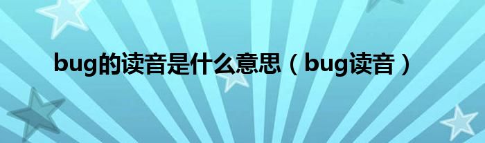 bug的读音是什么意思（bug读音）
