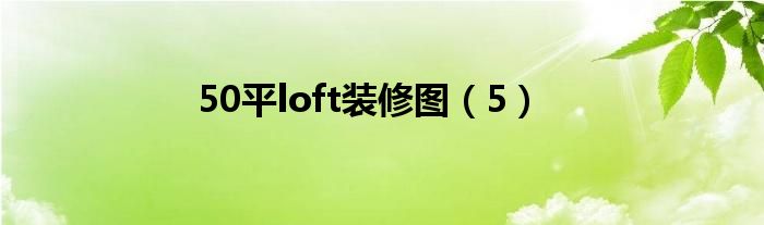 50平loft装修图(5)