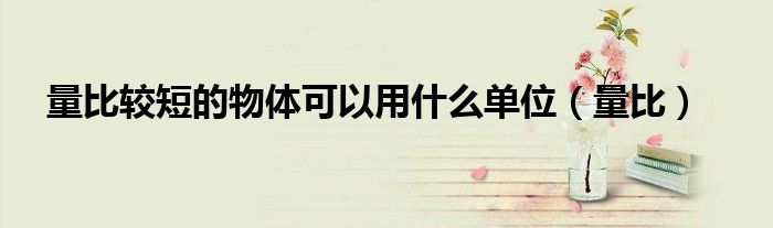 量比较短的物体可以用什么单位(量比)