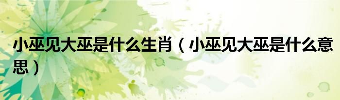 小巫见大巫是什么生肖(小巫见大巫是什么意思)