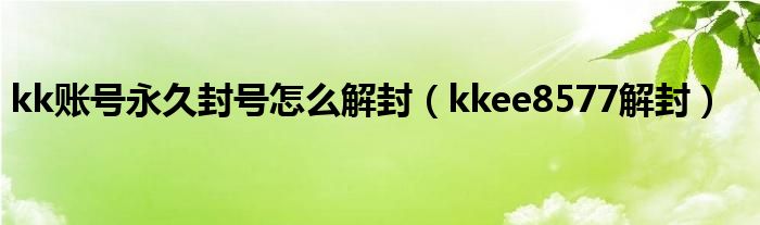 kk账号永久封号怎么解封（kkee8577解封）