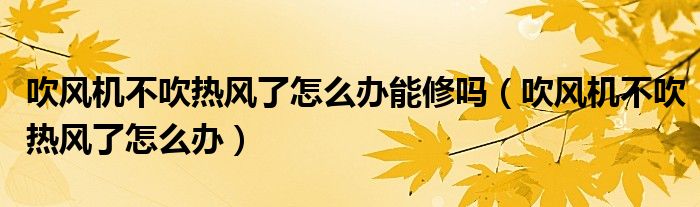 吹风机不吹热风了怎么办能修吗（吹风机不吹热风了怎么办）