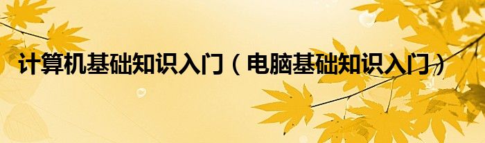 计算机基础知识入门（电脑基础知识入门）