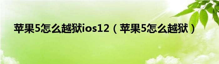苹果5怎么越狱ios12(苹果5怎么越狱)