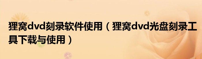 狸窝dvd刻录软件使用(狸窝dvd光盘刻录工具下载与使用)
