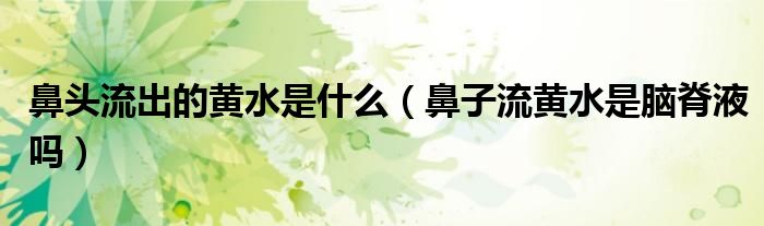 鼻头流出的黄水是什么（鼻子流黄水是脑脊液吗）