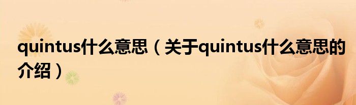 quintus什么意思（关于quintus什么意思的介绍）