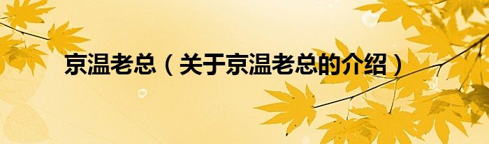 京温老总（关于京温老总的介绍）