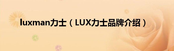 luxman力士（LUX力士品牌介绍）