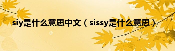 siy是什么意思中文(sissy是什么意思)