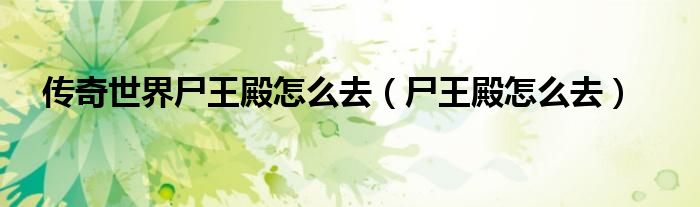 传奇世界尸王殿怎么去（尸王殿怎么去）