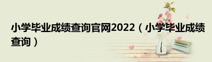 小学毕业成绩查询官网2022(小学毕业成绩查询)