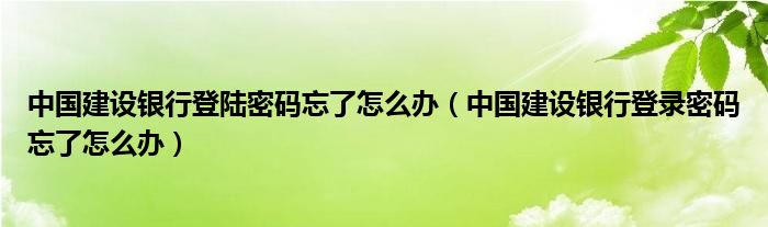 中国建设银行登陆密码忘了怎么办（中国建设银行登录密码忘了怎么办）