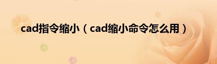 cad指令缩小(cad缩小命令怎么用)