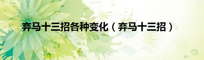弃马十三招各种变化（弃马十三招）