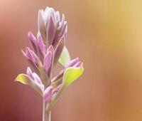 谷歌文档、幻灯片和表格在安卓上终于天黑了