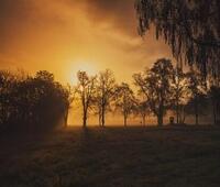 2020-2024年葡萄牙电信运营商国家情报报告